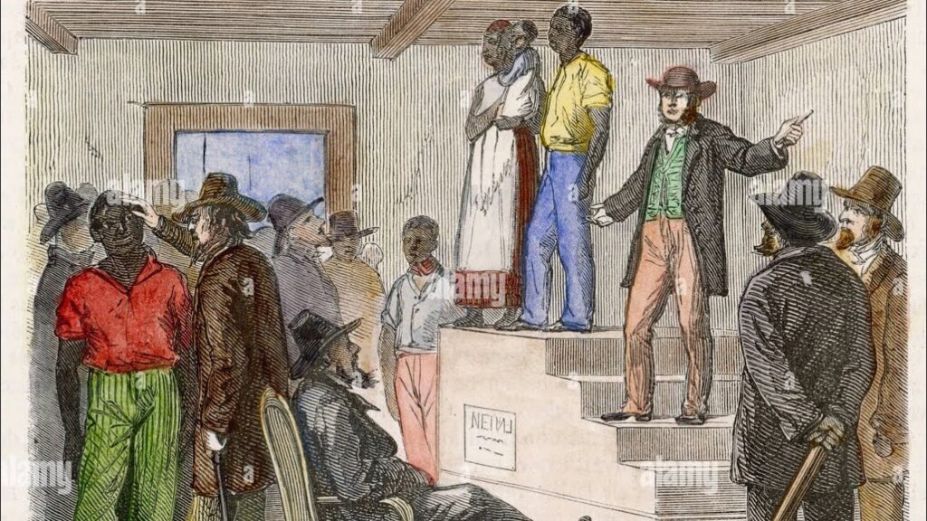 PT.2 SO YOU STILL THINK YOUR FREE SMFH…
