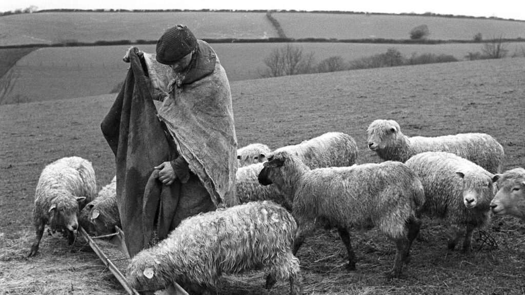 PT.3 FEED MY SHEEP🐑,, FEED MY SHEEP🐑,FEED MY SHEEP🐑!!!