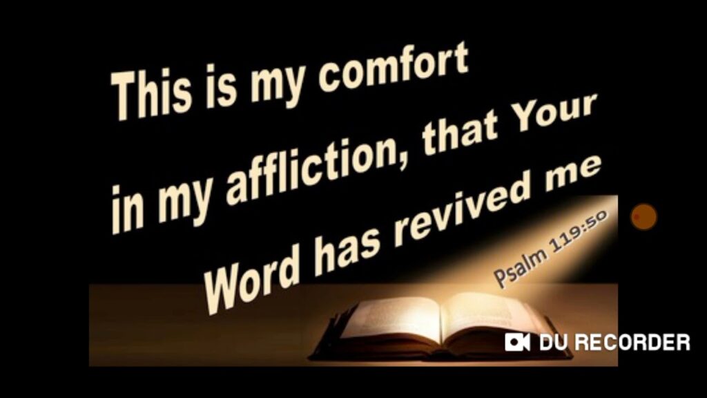 WE PLEASE GOD BY FEARING THEM!!!!