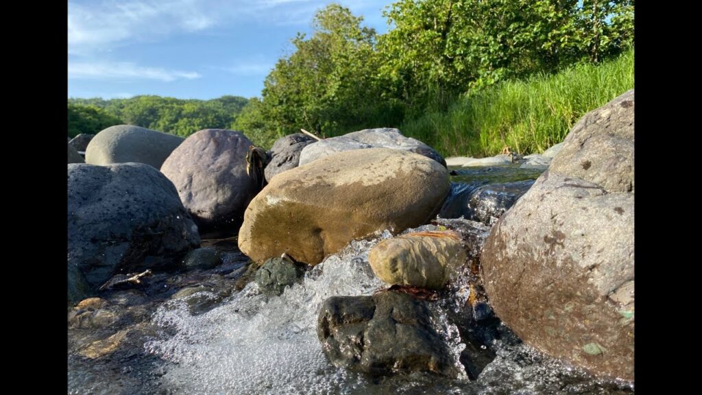 VARIOUS TOPICS LIVE: MARCH 2,2023