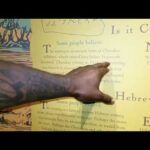 RE-UPLOAD: BAT CREEK STONE EXPLAINED AT THE MUSEUM OF THE CHEROKEE INDIAN (REPOST)
