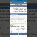THE SPIRIT OF AMALEK