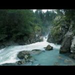 ARE YOU HYDRATED (TAKE HEED) @GMSInRome Lionsonfire