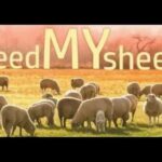 ARE YOU FEEDING THE SHEEP??? (GMSNORTHCAROLINA777)