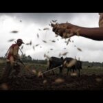 IF 30 MEN CAN REPOPULATE THE WHOLE WORLD, THAN 30 FARMS CAN PROVIDE FOOD FOR THE WHOLE WORLD 🌎!!!
