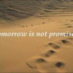 Dont play with (today)  (GMSInRome lionsonfire)