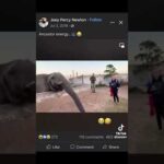 Even The Animals Tried Of They A$$ 😳😂