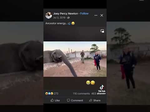 Even The Animals Tried Of They A$$ 😳😂