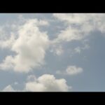 Then Shall Wit How Itself!!!!!!!