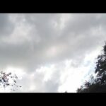 CALL ON YAHAWAH BAHASHAM YAHAWASHI TO BE SAVED live! 6/12/23