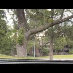 Your damned if you do and damned if you don’t