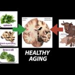 Healthy, (Nutrient) Wealthy and Wise: Diet for Healthy Aging – Research on Aging