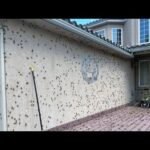 Babylonians (Americans) EMBRACE YOURSELVES, the hand of the LORD IS AGAINST YOU