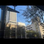 GMS HOUSTON LIVE 12/17/22
