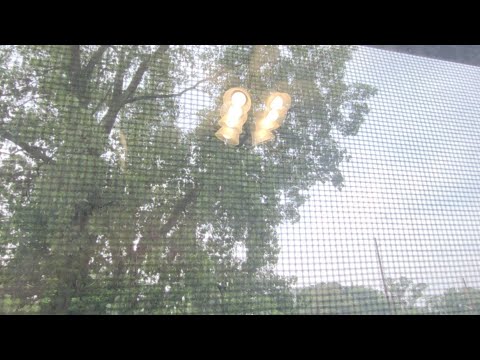 Jake Is Back In Fashion!!!!