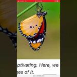 Change is Coming!! Spiritual Metamorphosis!!🦋🦋👑🦁👑📖📜