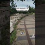 Malchaamah TikTok shorts