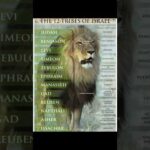 I have made the a watchman unto the house of Israel give them warning from me.