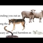 WE ARE SHEEP AMONG WOLVES SO BE WISE!!!