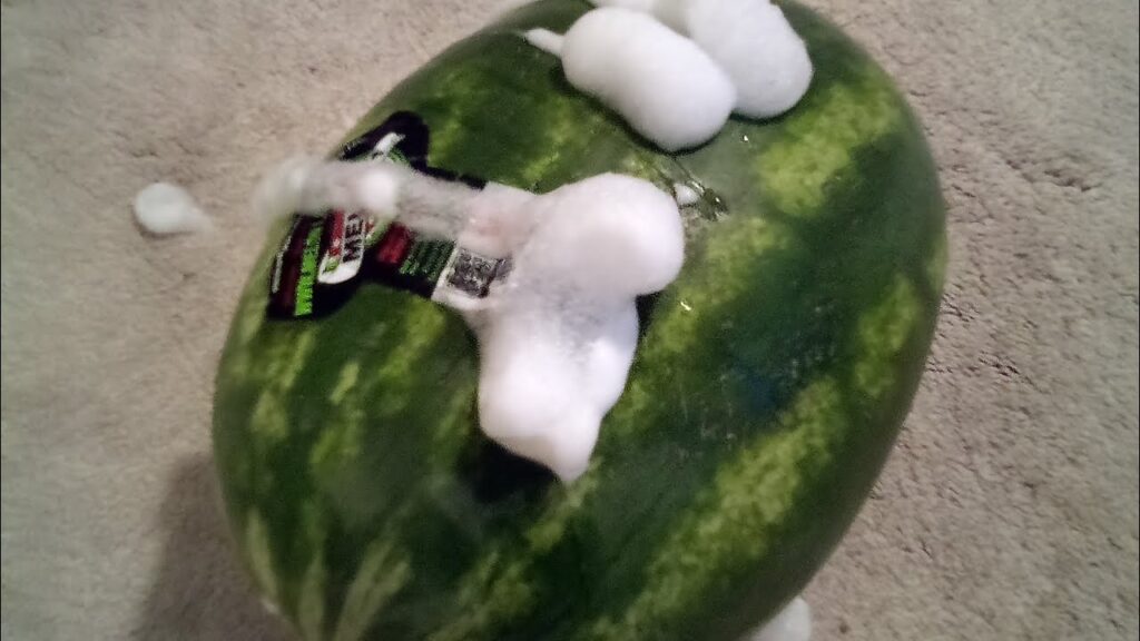 EVERYTHING IS FAKE🍉👀🤯🥶😬!!!!