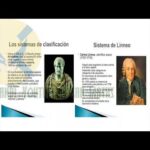 BIOLOGÍA REPASO GSM SEMANA 07