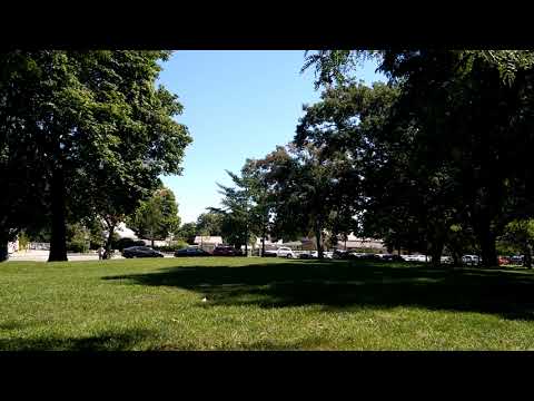 BOI dummies & out of order women need to hush π€«ππ€¬