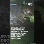 Rice Military Road Rage Shooting