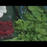 'Cyclospora' cases on the rise in Houston area