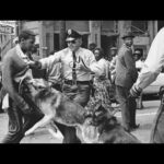 Why Does Esau/Edom Hate The Israelites so Much?