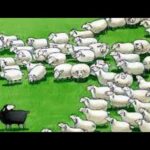 Ostracized For A Righteous Reward!