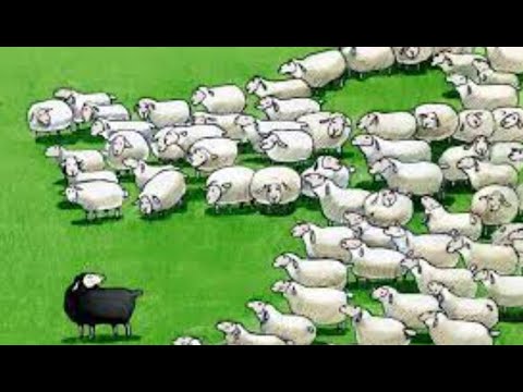 Ostracized For A Righteous Reward!