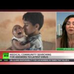 US sees 30+ cases of Zika in 11 states