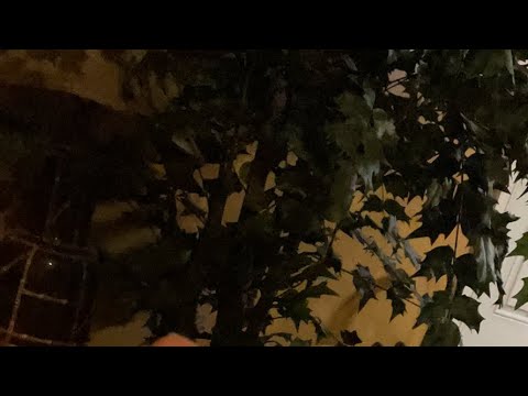 Post Passover sitdown 3/16/22