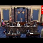 Top Republican Decries Critical Race Theory, 1619 Project In Senate Floor Speech