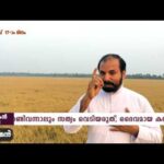 Sirach 4: 28 | Amen – Word of God March 15, 2017 | Episode – 501 | Fr Shaji Thumpechirayil