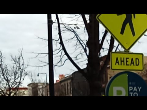 GMS North Carolina YEAR OF JACOBS TROUBLE 1/27/24