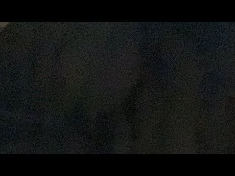 GMS Orlando Live Camp 03/04/23