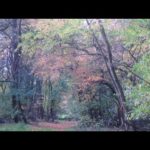 …The cities shall be troubled….