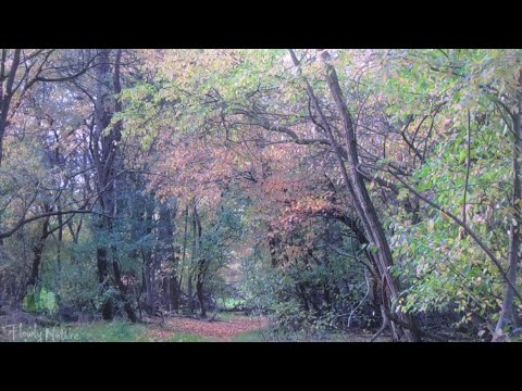 …The cities shall be troubled….