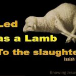A Perfect Atonement for Our Sins