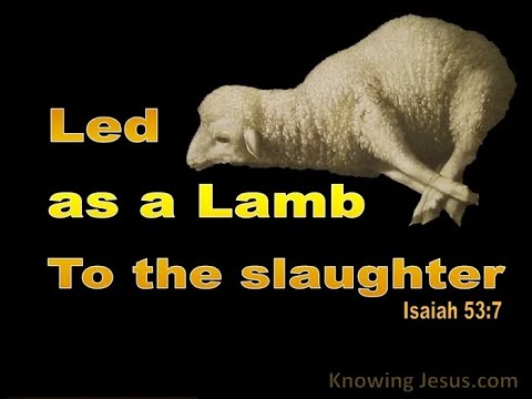 A Perfect Atonement for Our Sins