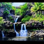 (20 Feb 24) Signs & Wonders Jeremiah 32:20