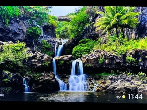 (20 Feb 24) Signs & Wonders Jeremiah 32:20