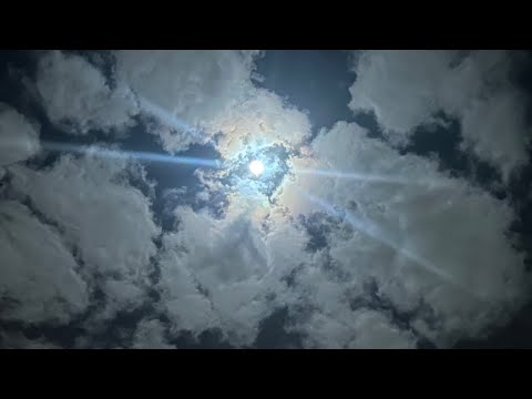 Midweek Camp Live From Babylon 2/7/24 Focus On The Prophecies