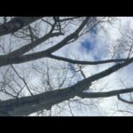 GMS PLAINTABLES PHILLY Live Camp 2/17/24