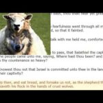 Shepherd or Hireling!!!