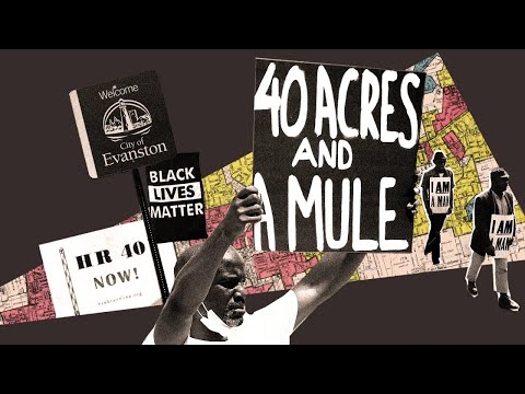 We told you Jake’s you ain’t getting reparations