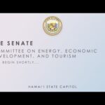 EET Public Hearing 4-14-2021 3pm