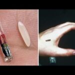 the transition to the m.o.t.b. clear infront our eyes