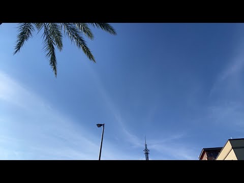 GMS Orlando Live Camp: Gather Together, Press Towards This Mark.